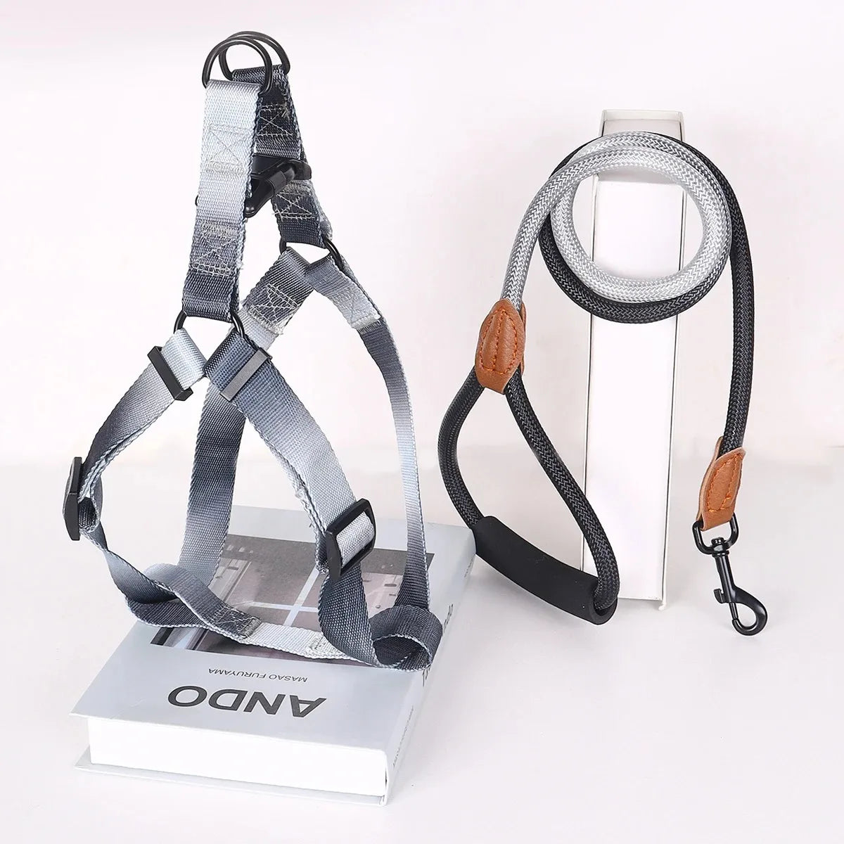 Chest for Dog Harness for Dogs Small Dog Leash Pet Supplies Puppy Accessories Collars Harnesses Leashes Pets Collar