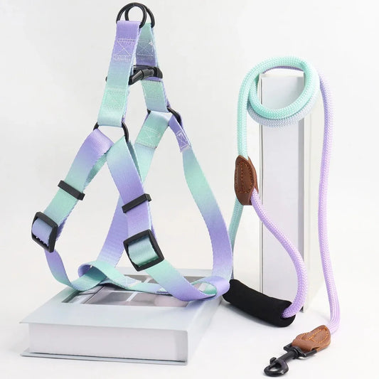Chest for Dog Harness for Dogs Small Dog Leash Pet Supplies Puppy Accessories Collars Harnesses Leashes Pets Collar